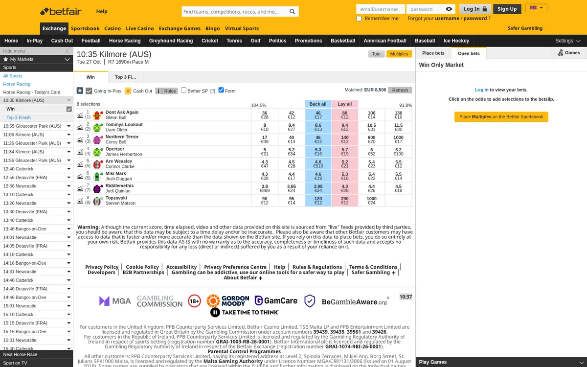 Betfair Exchange horse racing market with blue back prices and pink lay prices for each runner